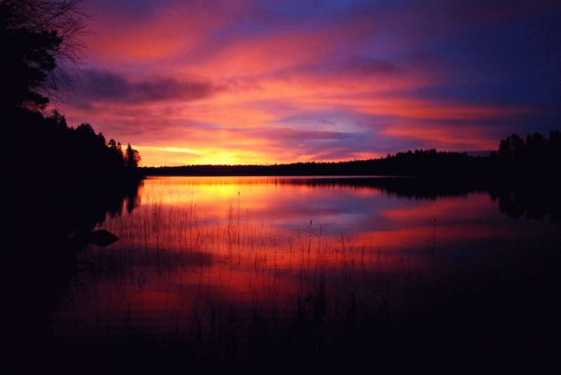 ����� � ����