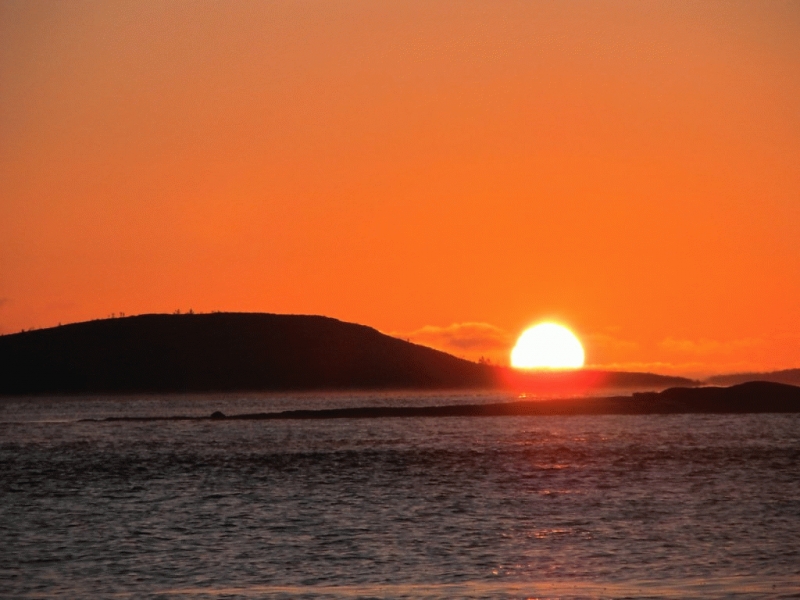 ����� �� �������