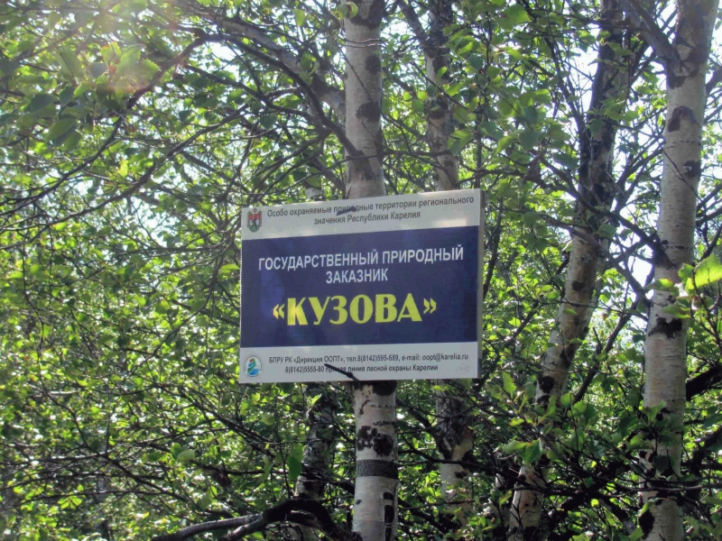 kuzov2